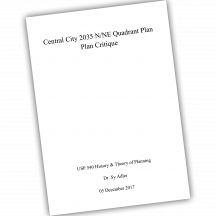 Cover of Plan Critique